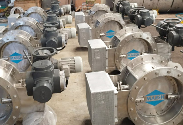 Double flap butterfly valve
