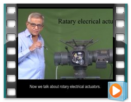 Rotary Elecrical Actuator